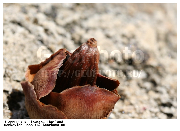 ����, �������, �����, ������, ��������, ������, ��������, ��������, �����, �����, ������, �����