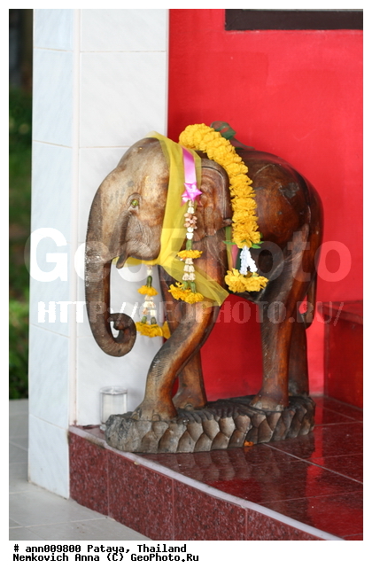 ������, �������, ������, �����, ��������, ����������, ������, �������, ����������, ����, �����, �����