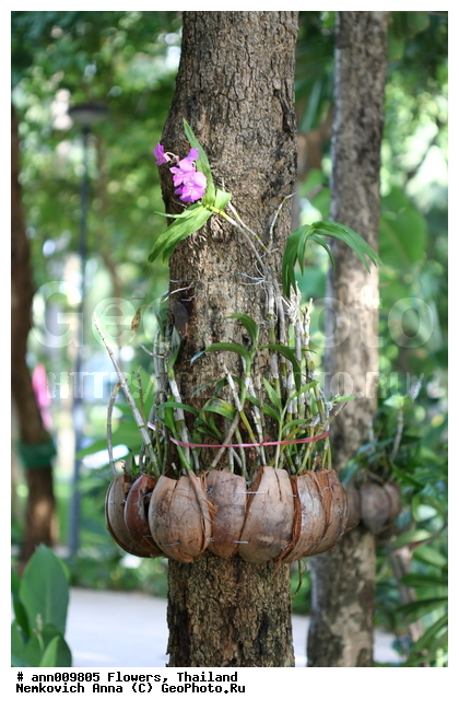 ����, �������, �����, ������, ������, �����, ��������� ����, ��������, ������, �������, ����, �������, ��������, ���, ��������, �����, ������, �����