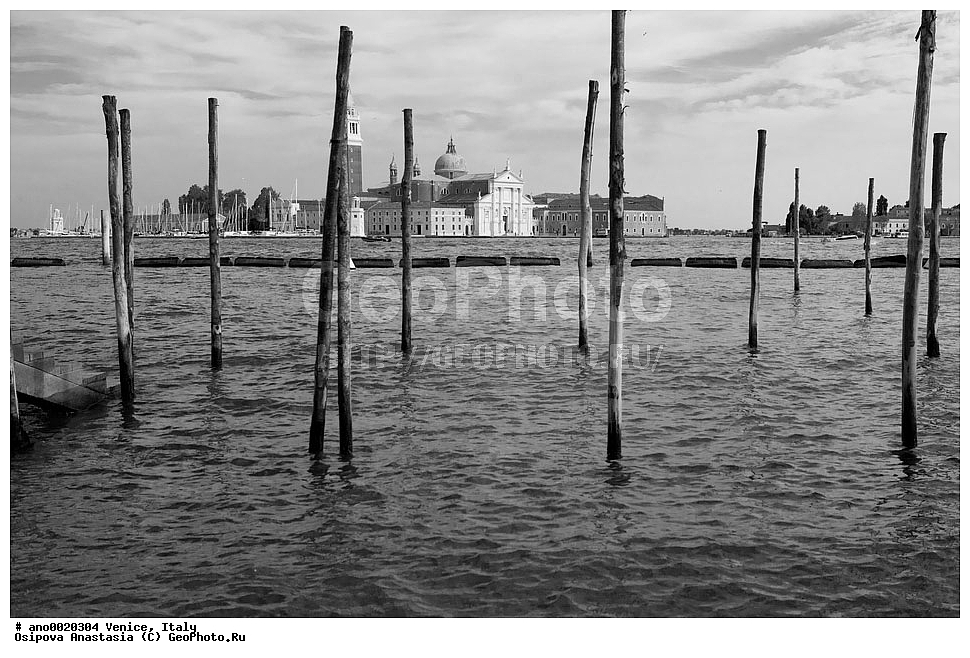 �������, ������, �����-�����, B&W