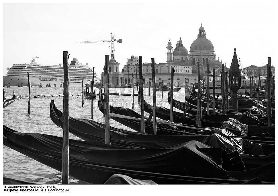 �������, ������, �����-�����, B&W