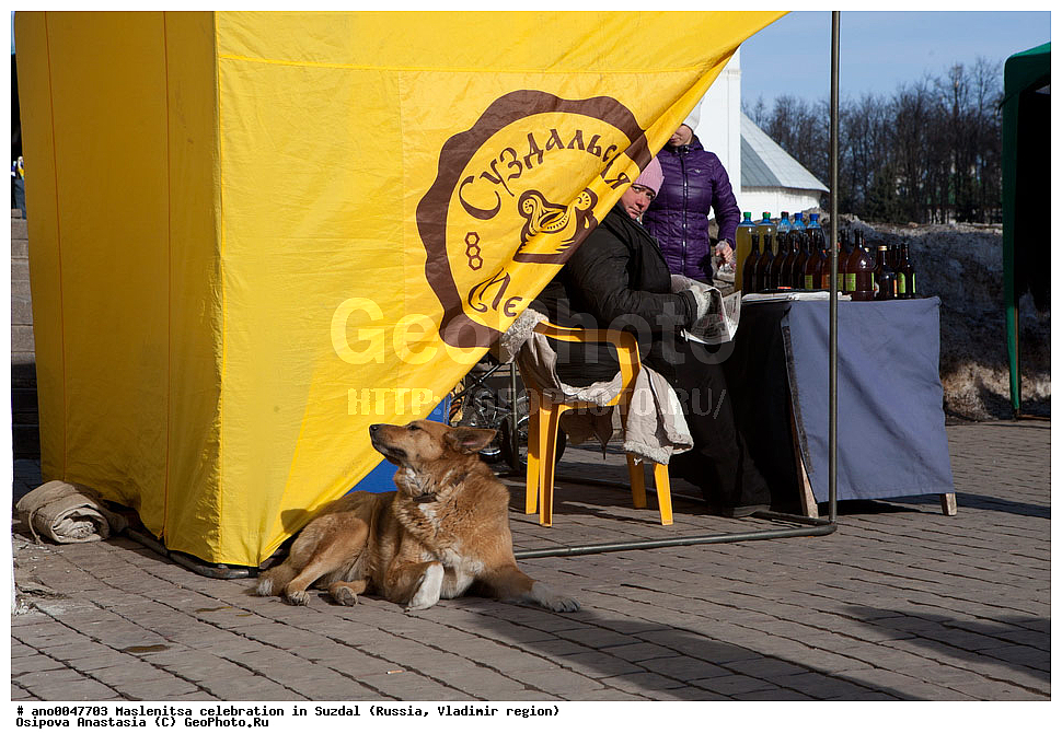 ������������, ���������, �������, ������, ������������ �������