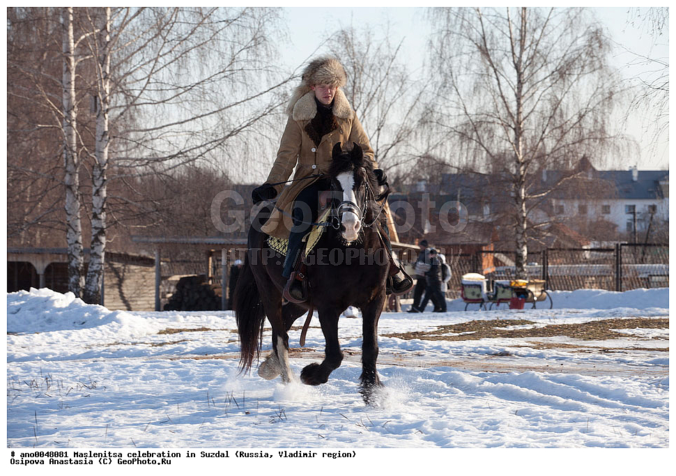 ������������, ���������, �������, ������, ������������ �������