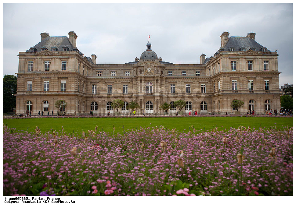 �����, �������