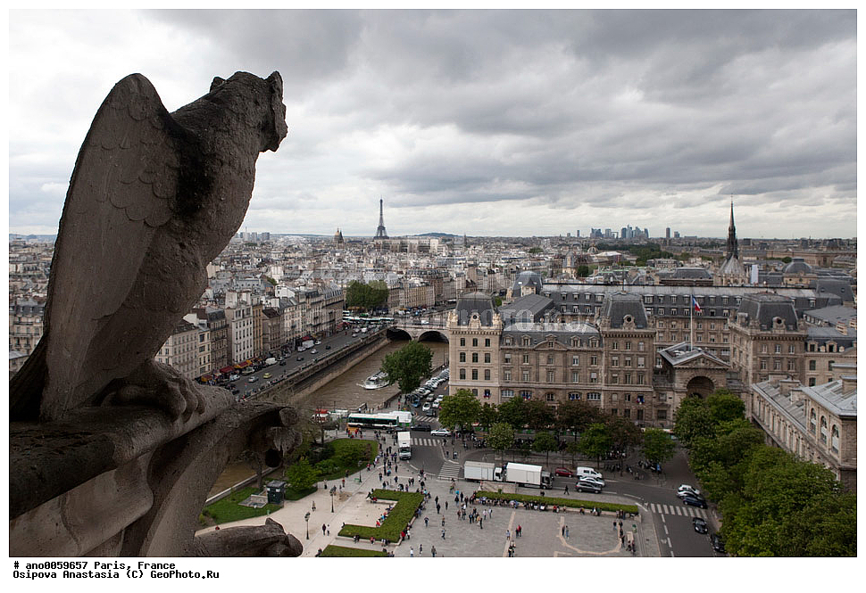 �����, �������