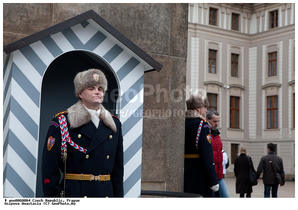 �����, �����