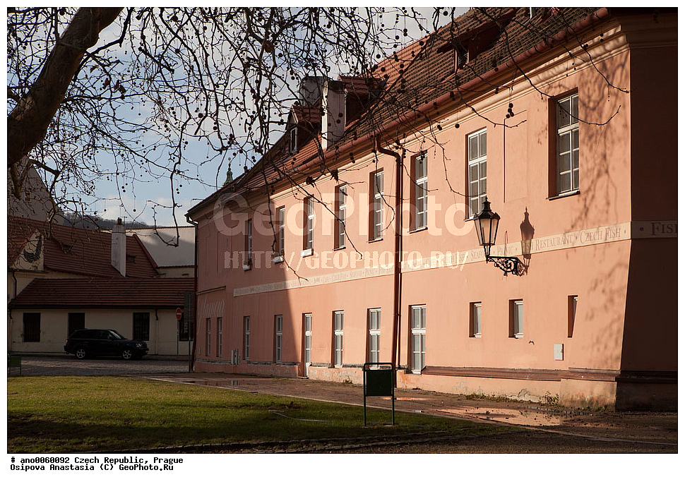 �����, �����