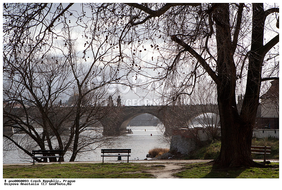 �����, �����