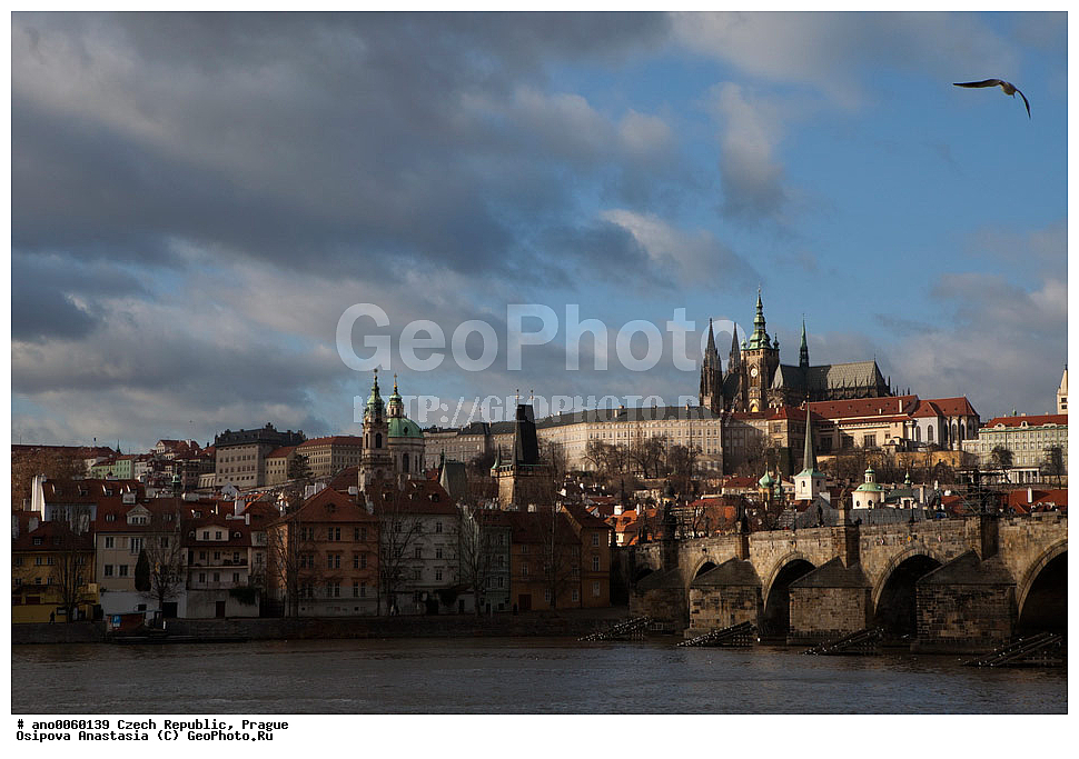 �����, �����