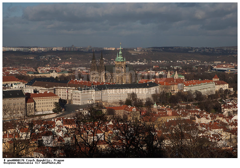 �����, �����