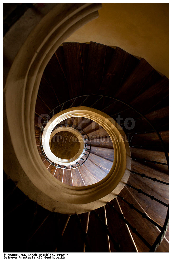 �����, �����