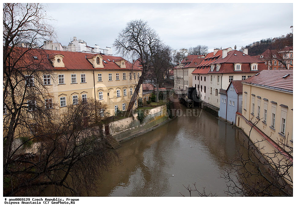 �����, �����