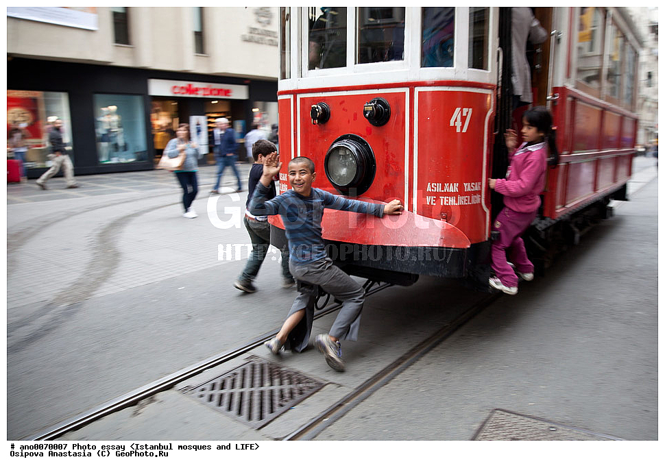 �������, ������, �������������, �����, ��������, ������������ �����, ������, ������� ������