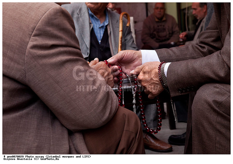 �������, ������, �������������, �����, ��������, ������������ �����, ������, ������� ������