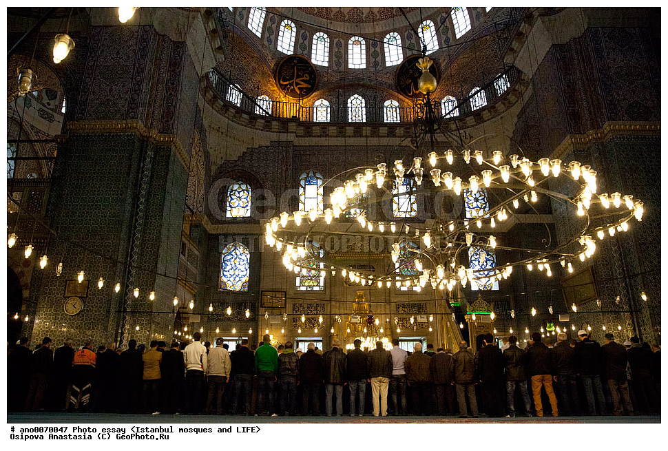 �������, ������, �������������, �����, ��������, ������������ �����, ������, ������� ������