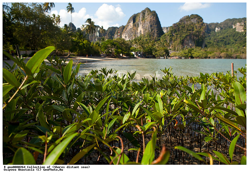 ������ ������� �����, �����, ����, ������ ������