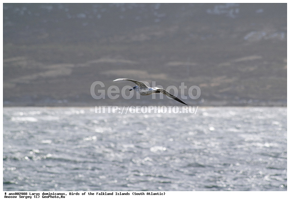 �����, ������������ �������, ����� ���������, ������������� �����