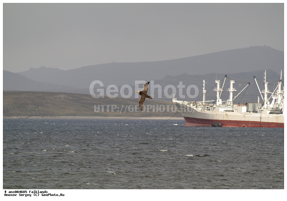 ���������, ������������, �������, �����������, �������, �������, ���� ���������