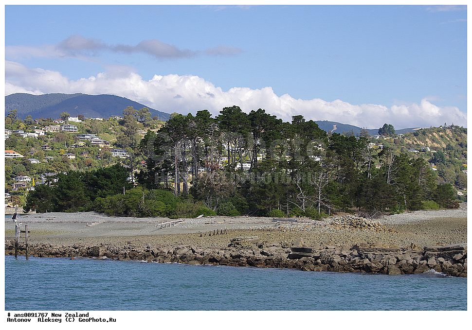 ����� ��������, �������, ��� � ����