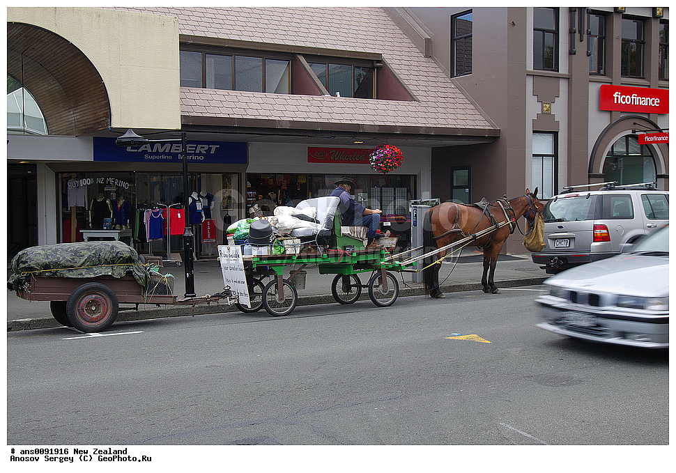 �����������, ����� ��������, �������, ����� ������