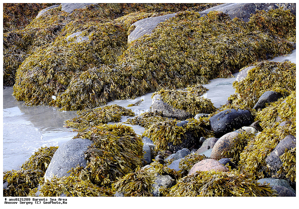 �����, ��������, ������, ���������, �����, ��������� �����, ������� �����, ��������� ����, ���������� �������, ������