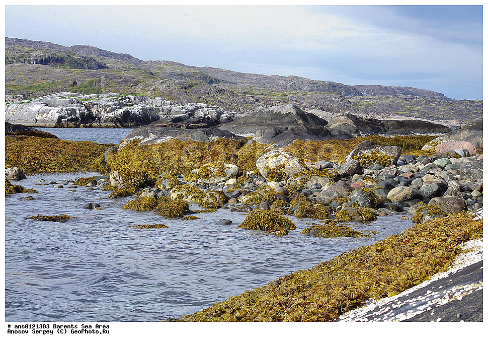 �����, ��������, ������, ���������, �����, ��������� �����, ������� �����, ��������� ����, ���������� �������, ������