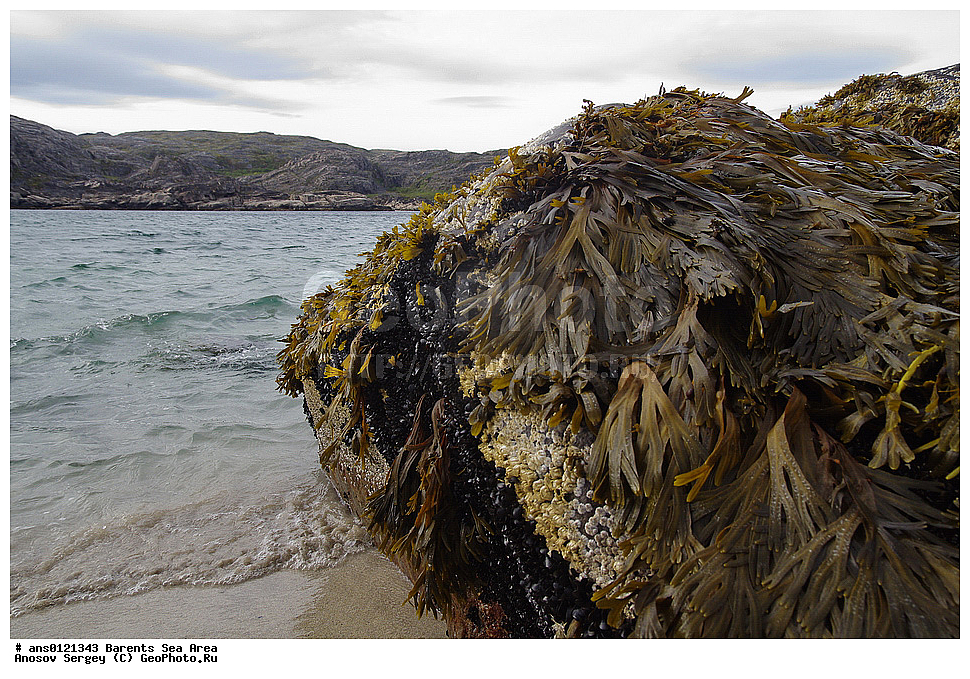 �����, ��������, ������, ���������, �����, ��������� �����, ������� �����, ��������� ����, ���������� �������, ������