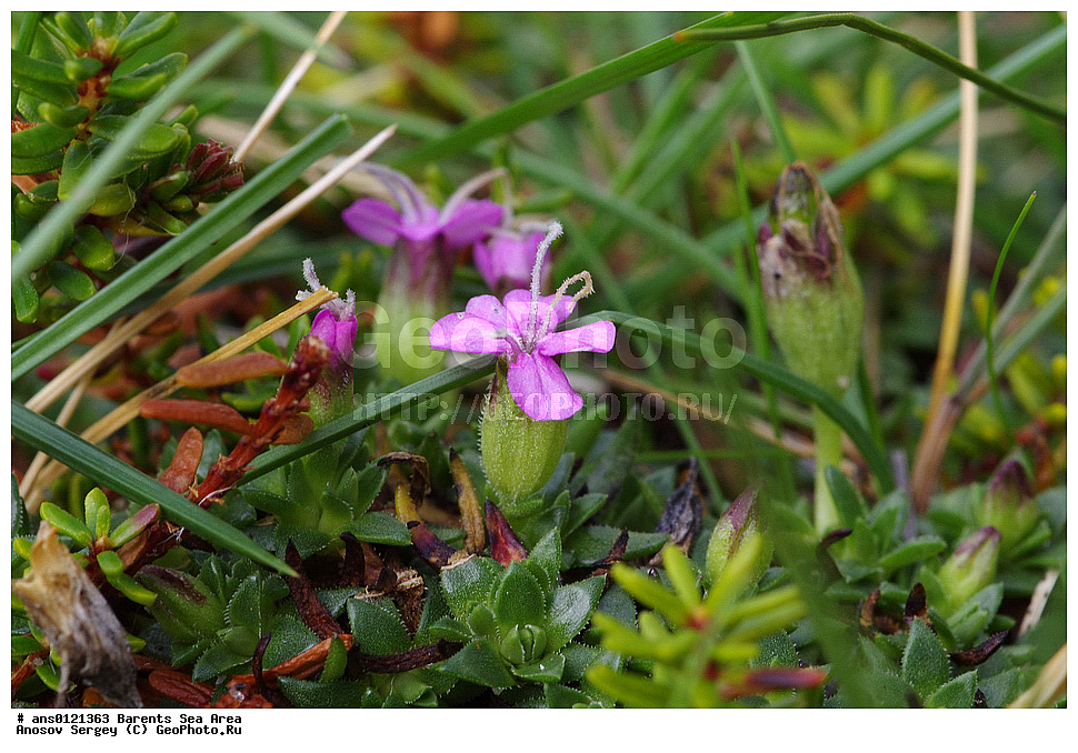 �����, ��������, ������, ���������, �����, ��������� �����, ������� �����, ��������� ����, �����, ���������� �������, ������