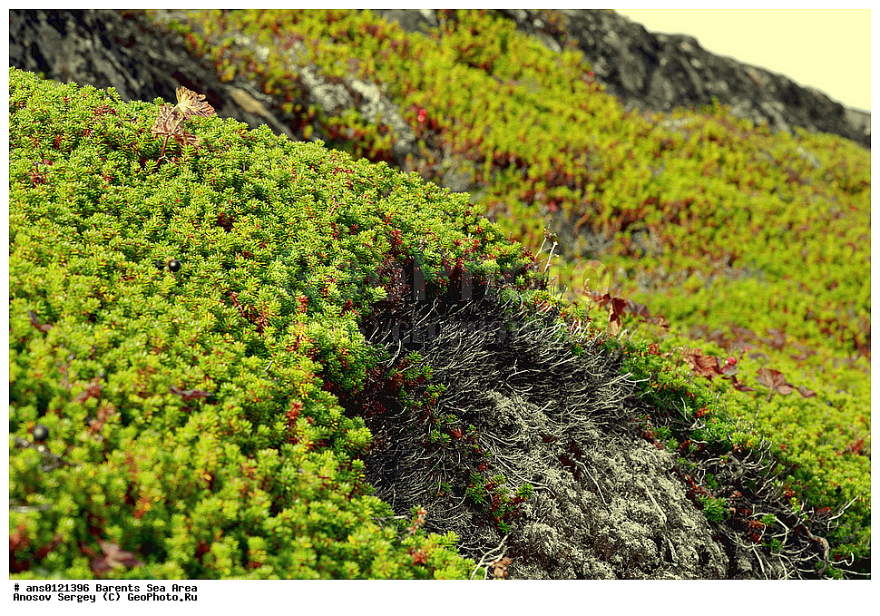 �����, ��������, ������, ���������, �����, ��������� �����, ������� �����, ��������� ����, ���������� �������, ������