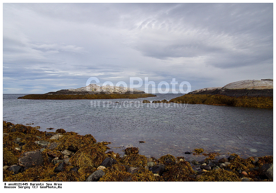 �����, ��������, ������, ���������, �����, ��������� �����, ������� �����, ��������� ����, ���������� ��������, �����������, ���������� �������, ������