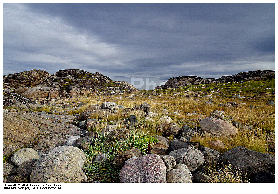 �����, ��������, ������, ���������, �����, ��������� �����, ������� �����, ��������� ����, ���������� ��������, �����������, ���������� �������, ������