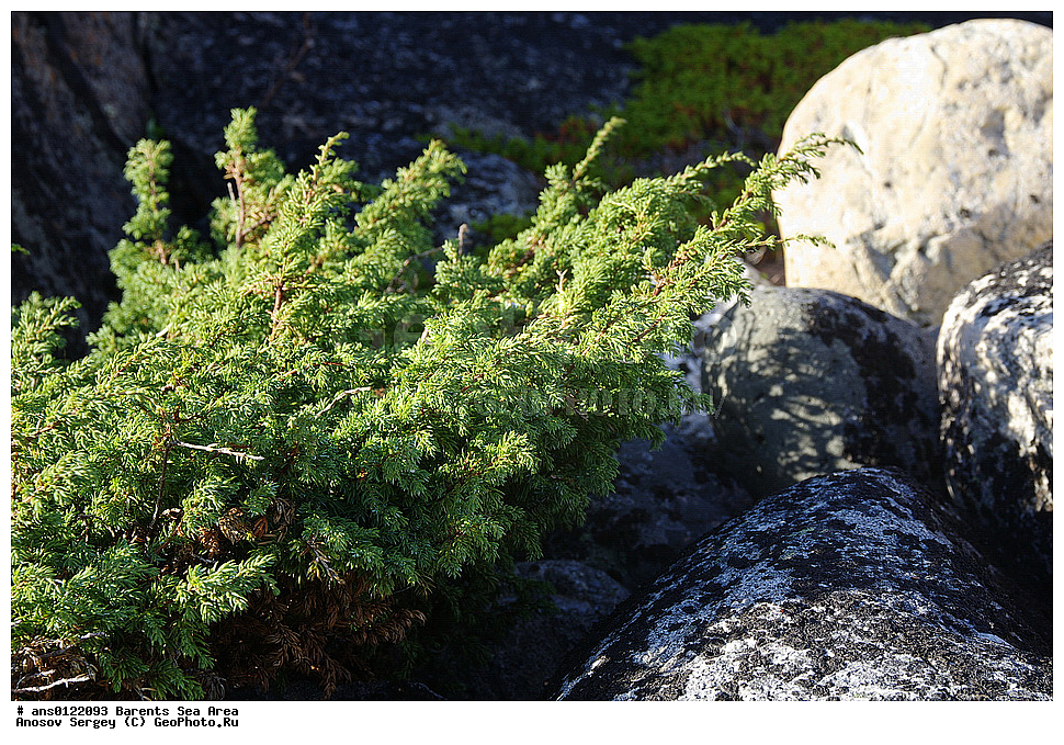 �����, ��������, ������, ���������, �����, ��������� �����, ������� �����, ��������� ����, ���������� �������, ������