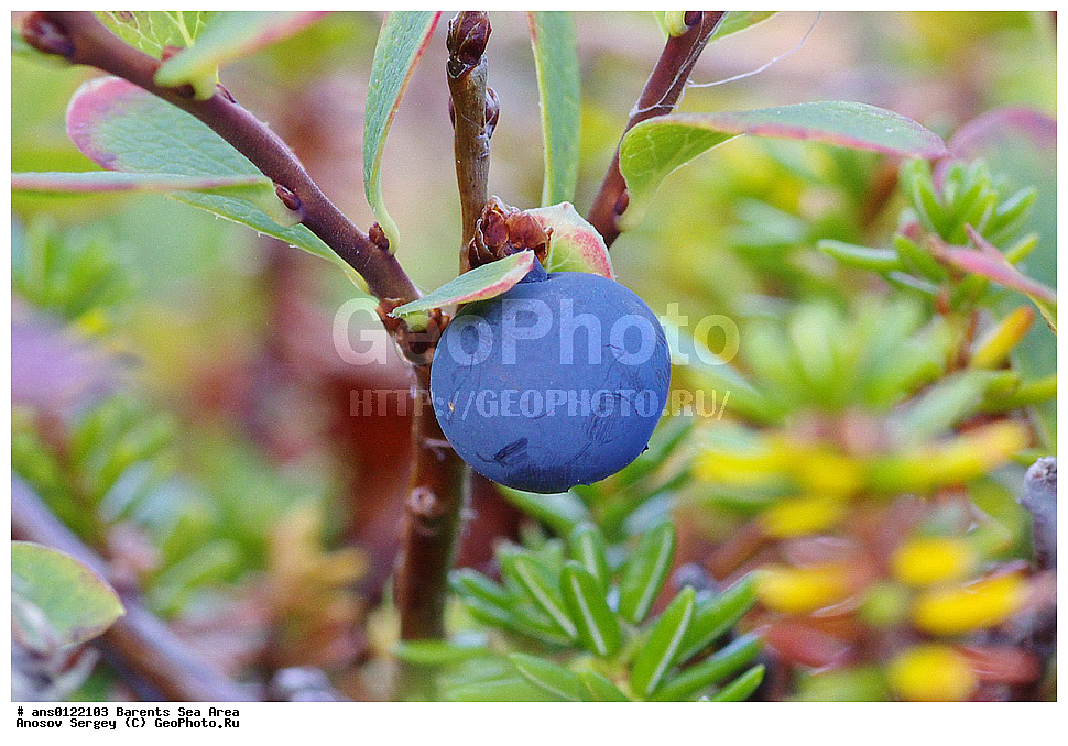 �����, ��������, ������, ���������, �����, ��������� �����, ������� �����, ��������� ����, �����, ���������� �������, ������