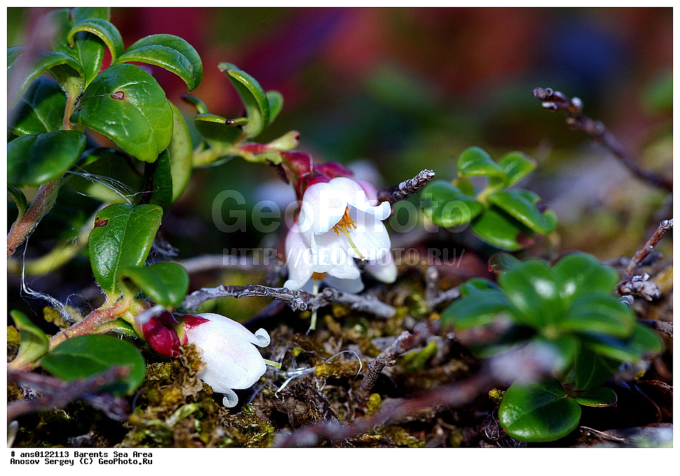 �����, ��������, ������, ���������, �����, ��������� �����, ������� �����, ��������� ����, �����, ���������� �������, ������