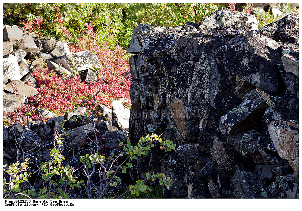 �����, ��������, ������, ���������, �����, ��������� �����, ������� �����, ��������� ����, ���������� �������, ������