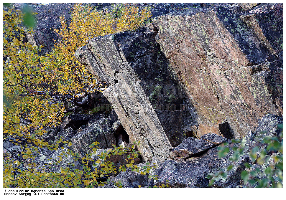 �����, ��������, ������, ���������, �����, ��������� �����, ������� �����, ��������� ����, ���������� ��������, �����������, ���������� �������, ������