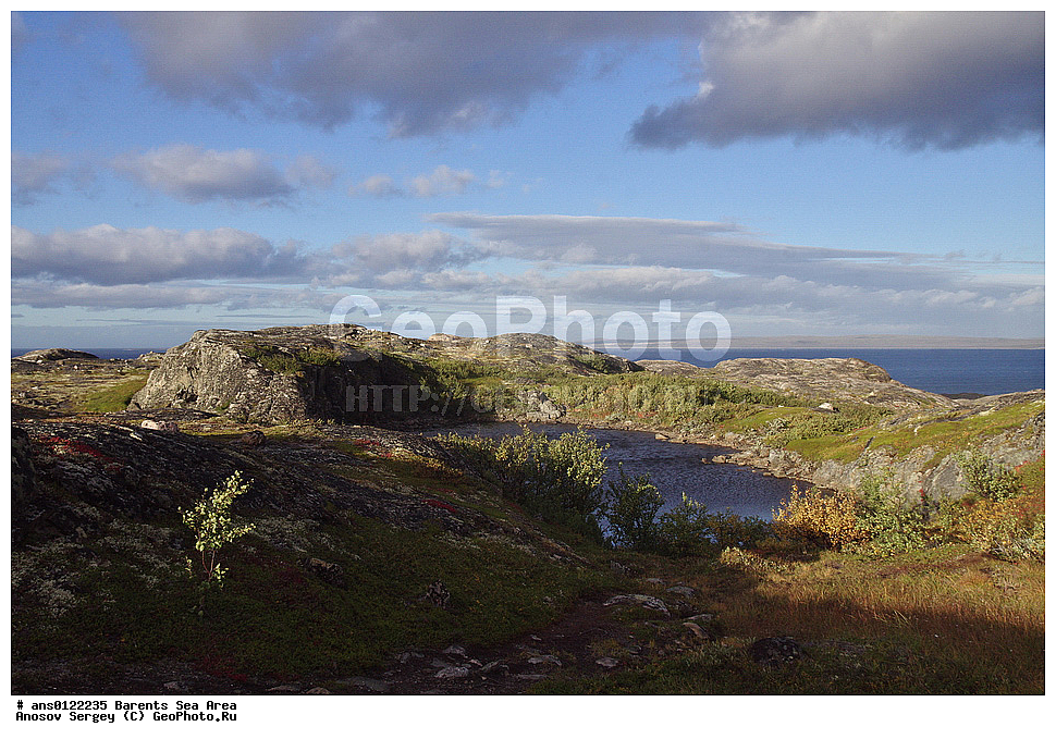 �����, ��������, ������, ���������, �����, ��������� �����, ������� �����, ��������� ����, ���������� ��������, �����������, ���������� �������, ������