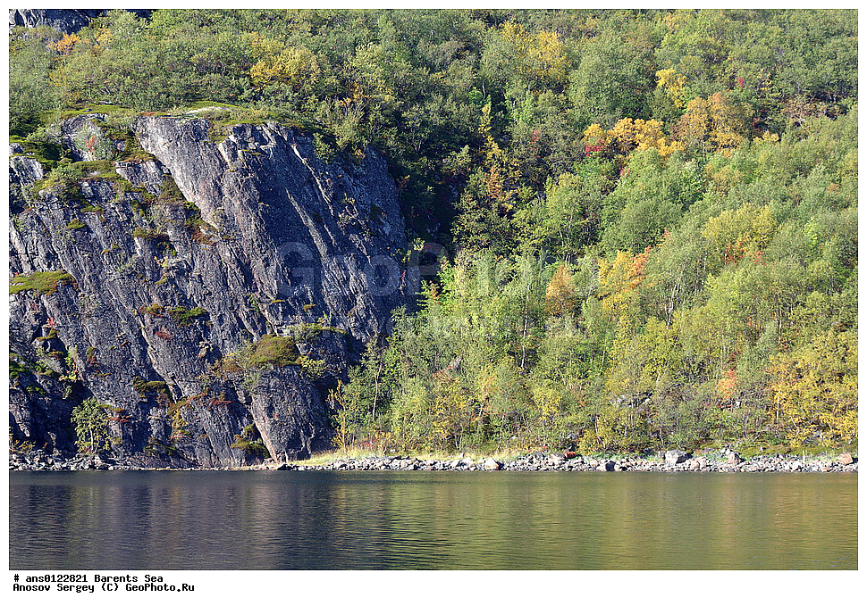 �����, ��������, ������, ���������, �����, ��������� �����, ������� �����, ��������� ����, ���� ��������, ���������� �������, ������