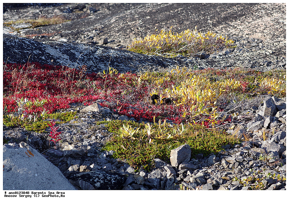 �����, ��������, ������, ���������, �����, ��������� �����, ������� �����, ��������� ����, ���������� �������, ������