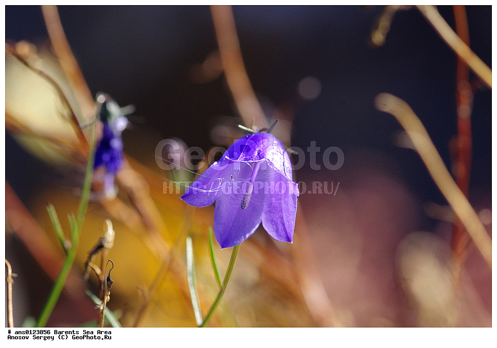 �����, ��������, ������, ���������, �����, ��������� �����, ������� �����, ��������� ����, �����, ���������� �������, ������