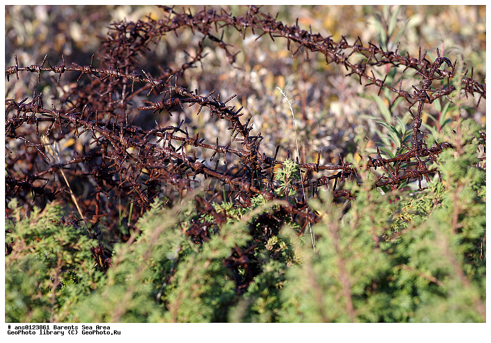 �����, ��������, ������, ���������, �����, ��������� �����, ������� �����, ��������� ����, ���������� �������, ������