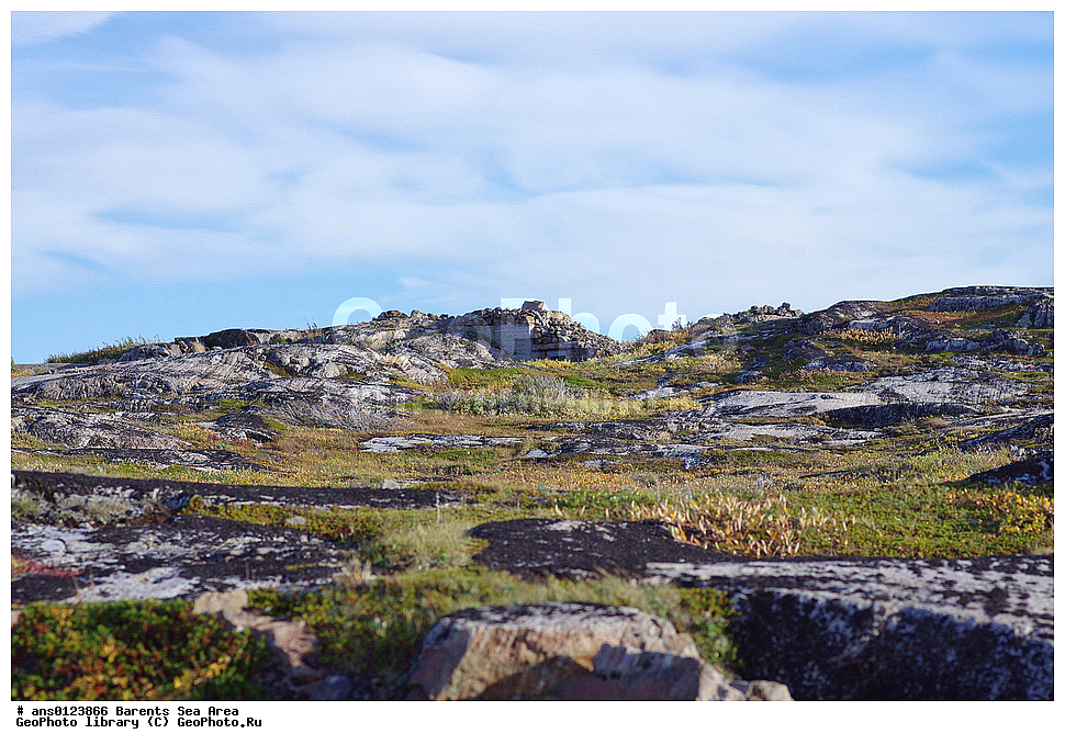 �����, ��������, ������, ���������, �����, ��������� �����, ������� �����, ��������� ����, ���������� �������, ������