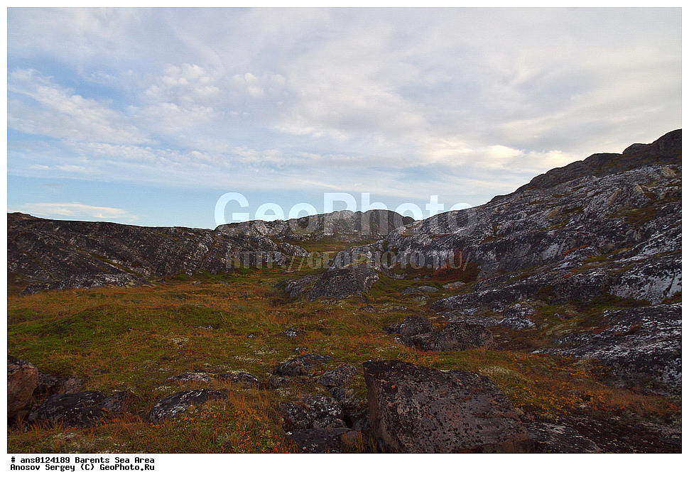 �����, ��������, ������, ���������, �����, ��������� �����, ������� �����, ��������� ����, ���������� ��������, �����������, ���������� �������, ������