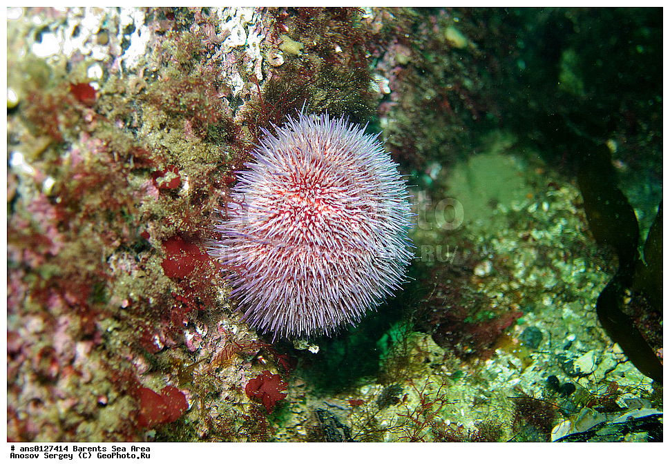 �����, ��������, ��������, ��������� ������, ��������� ����, ������� ��, ���������� �������, ������