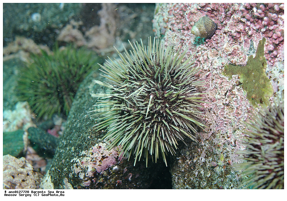 �����, ��������, ��������, ��������� ������, ��������� ����, ������� ��, ���������� �������, ������