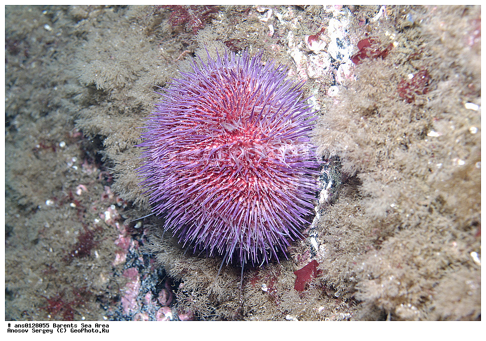 �����, ��������, ��������, ��������� ������, ��������� ����, ������� ��, ���������� �������, ������