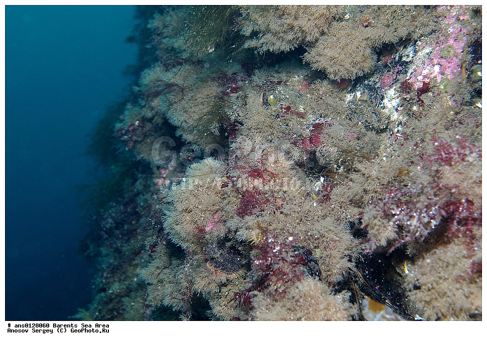 �����, ��������, ������, ��������� ������, ��������� ����, ���������� �������, ������