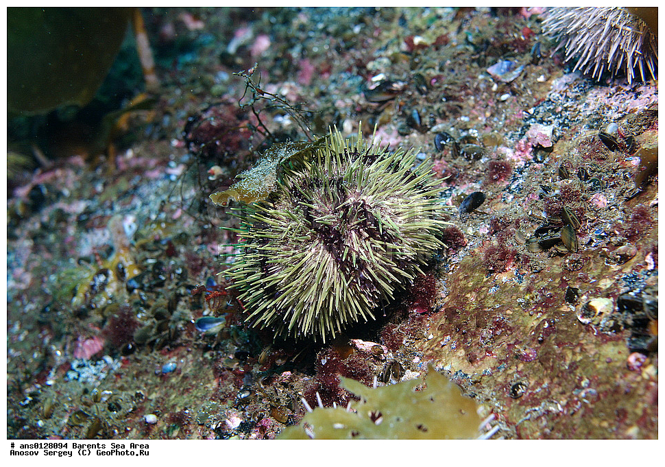 �����, ��������, ��������, ��������� ������, ��������� ����, ������� ��, ���������� �������, ������