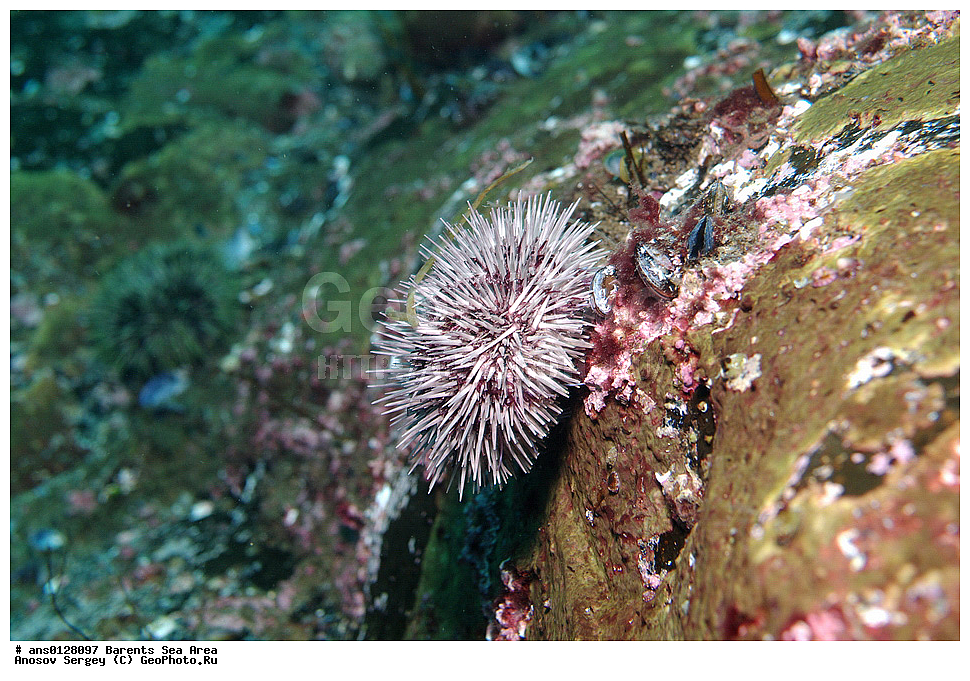 �����, ��������, ��������, ��������� ������, ��������� ����, ������� ��, ���������� �������, ������