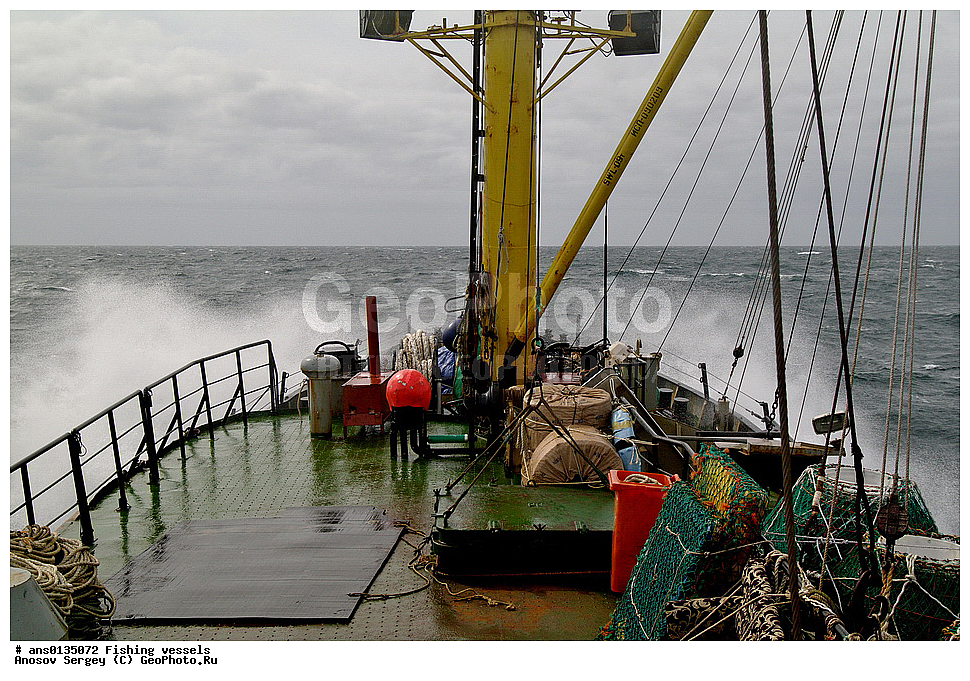 ����������, ����������, ���, ������, ��, ��� ����, �������, �������, ������� �������������� ������������ ��������, ������� < ������� >